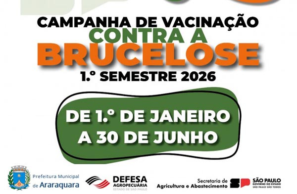 campanha600_11.jpg